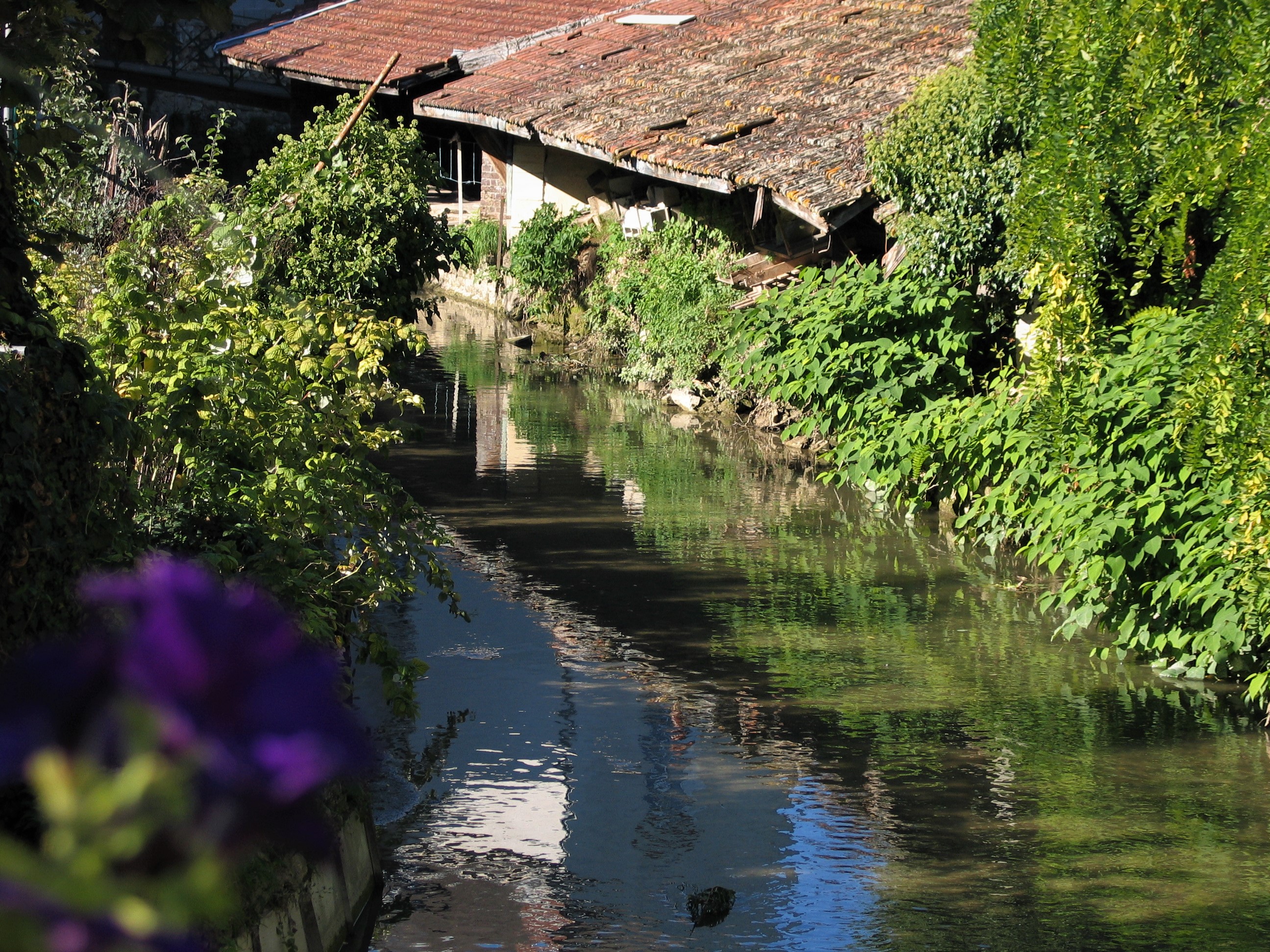 Epernay-Patrimoin photo groupe 028